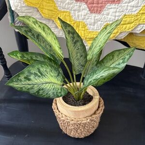 NWT Faux house plant with FREE handmade custom crochet jute pot cover